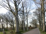 IMG_2480a.JPG