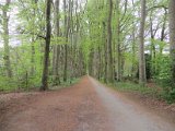 IMG_3899.JPG