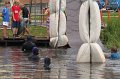 IMG_3787