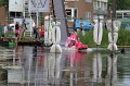 IMG_3806