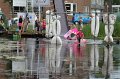 IMG_3808