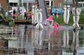 IMG_3811