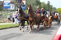 IMG_3823
