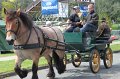 IMG_3831