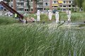 IMG_3847