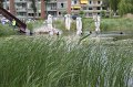 IMG_3848