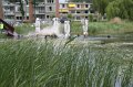 IMG_3849