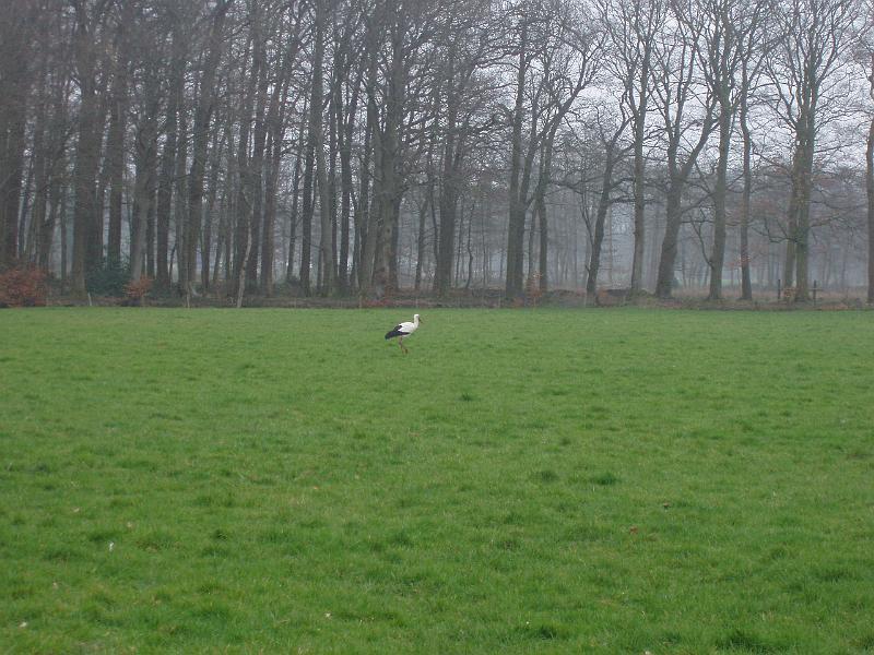 P4040054.JPG