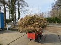 IMG_0291