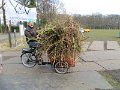 IMG_0293