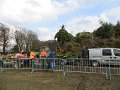IMG_0295