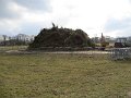 IMG_0305