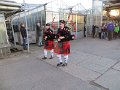 IMG_0339