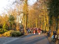 IMG_0350