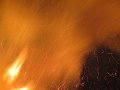 IMG_0390