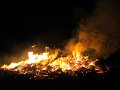 IMG_0399