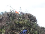 IMG_9482.JPG