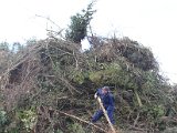 IMG_9484.JPG
