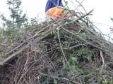 IMG_9509.JPG