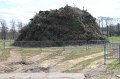 IMG_5453