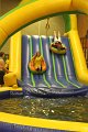 IMG_4471